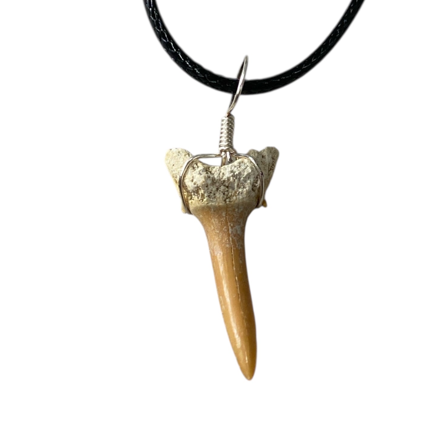 Shark tooth fossil neck