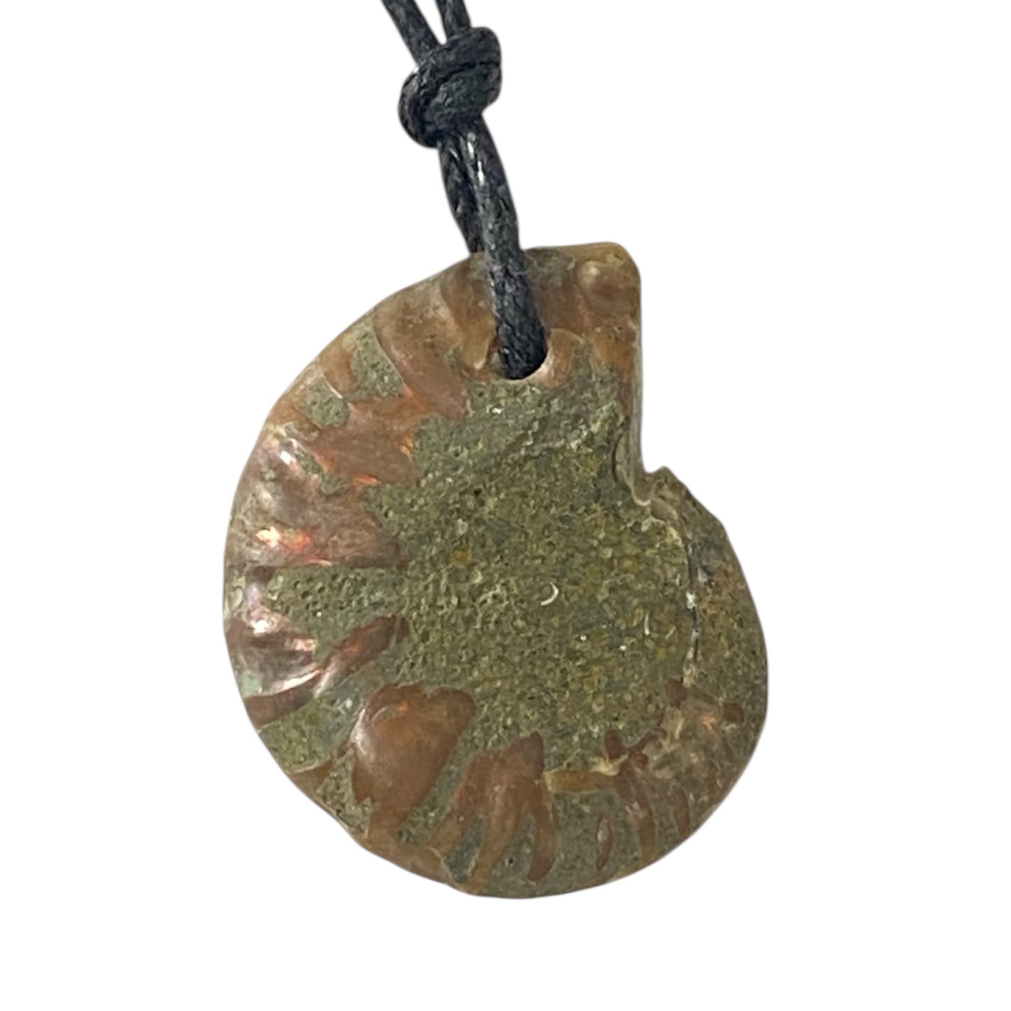 Ammonite fossil Necklace