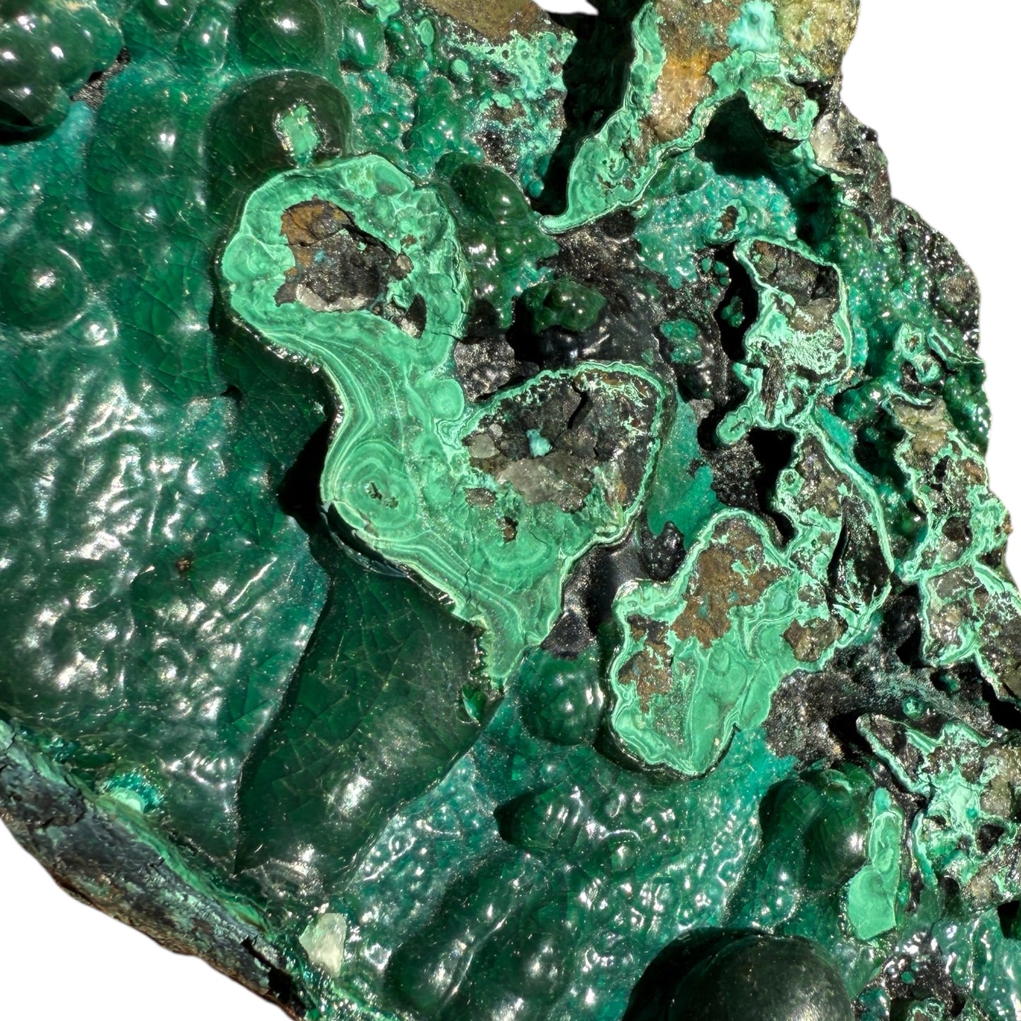 Botryoidal Malachite and Chrysocolla RARE and unique