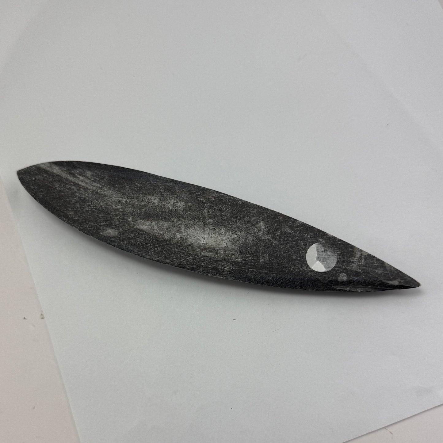 Orthoceras plate 17cm