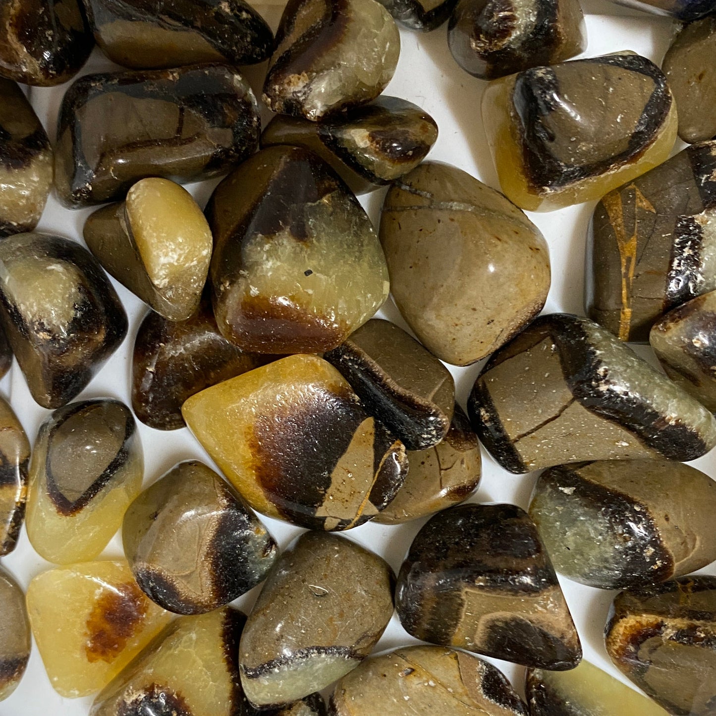 Tumbled Sepatarian Stone