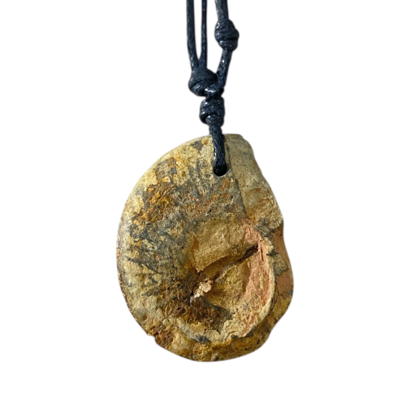 Ammonite fossil Necklace in pyrite