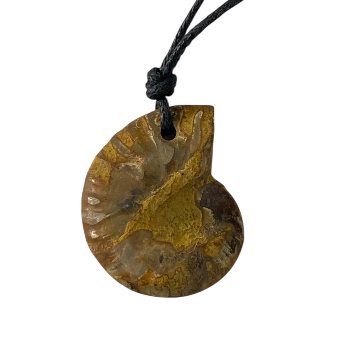 Ammonite fossil Necklace