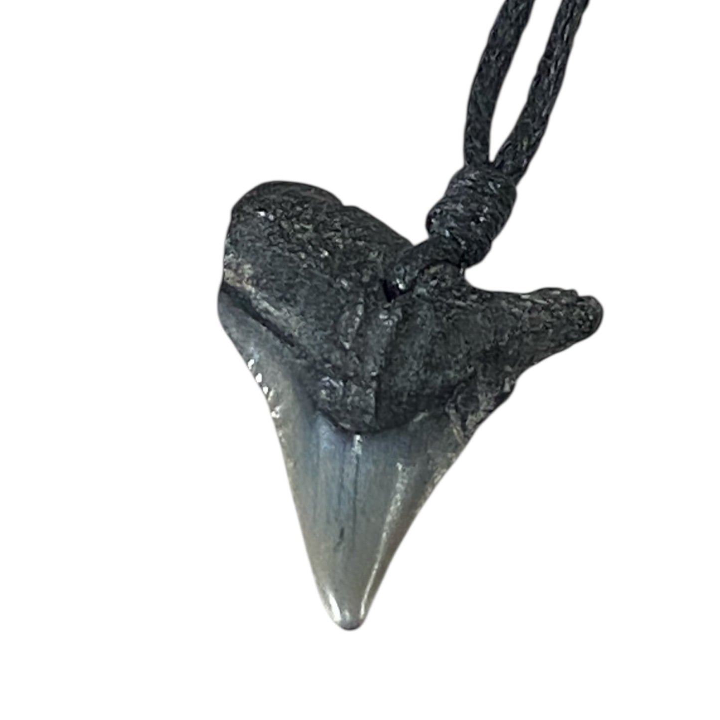 Megalodon fossil teeth necklace