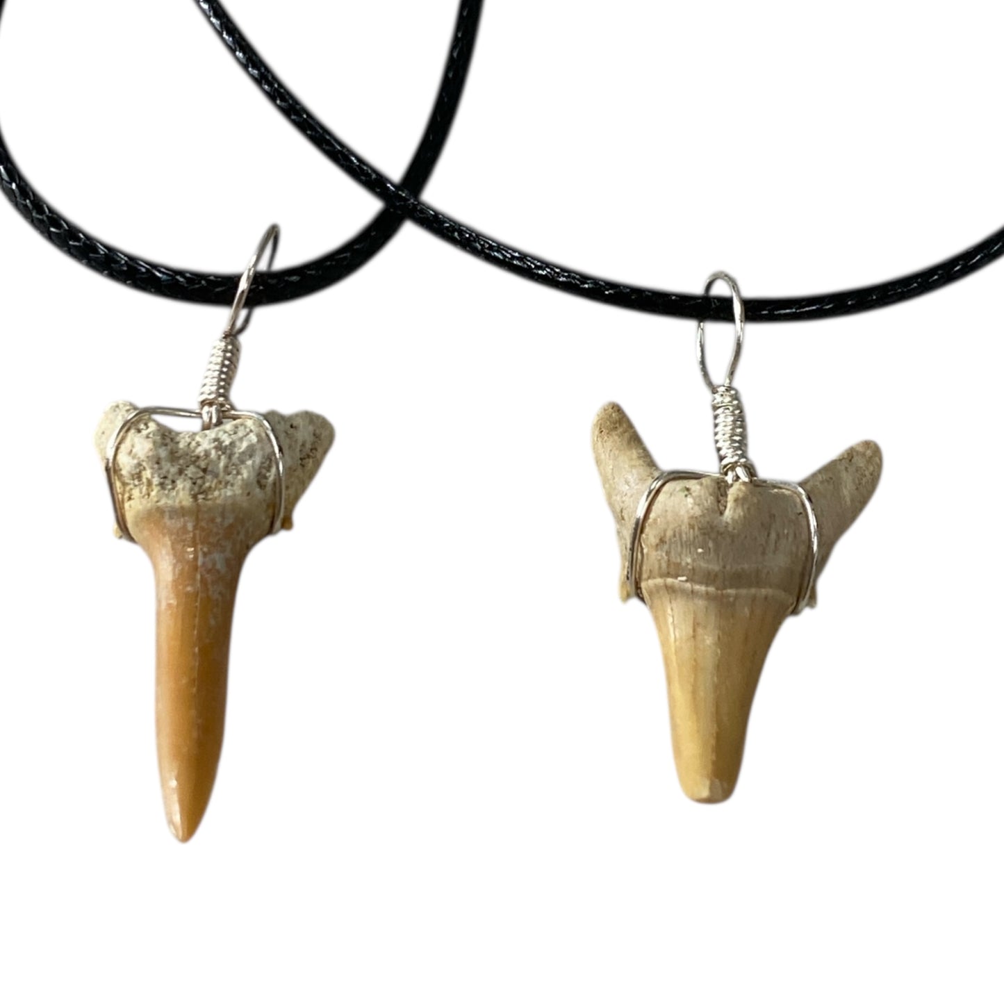 Shark tooth fossil neck