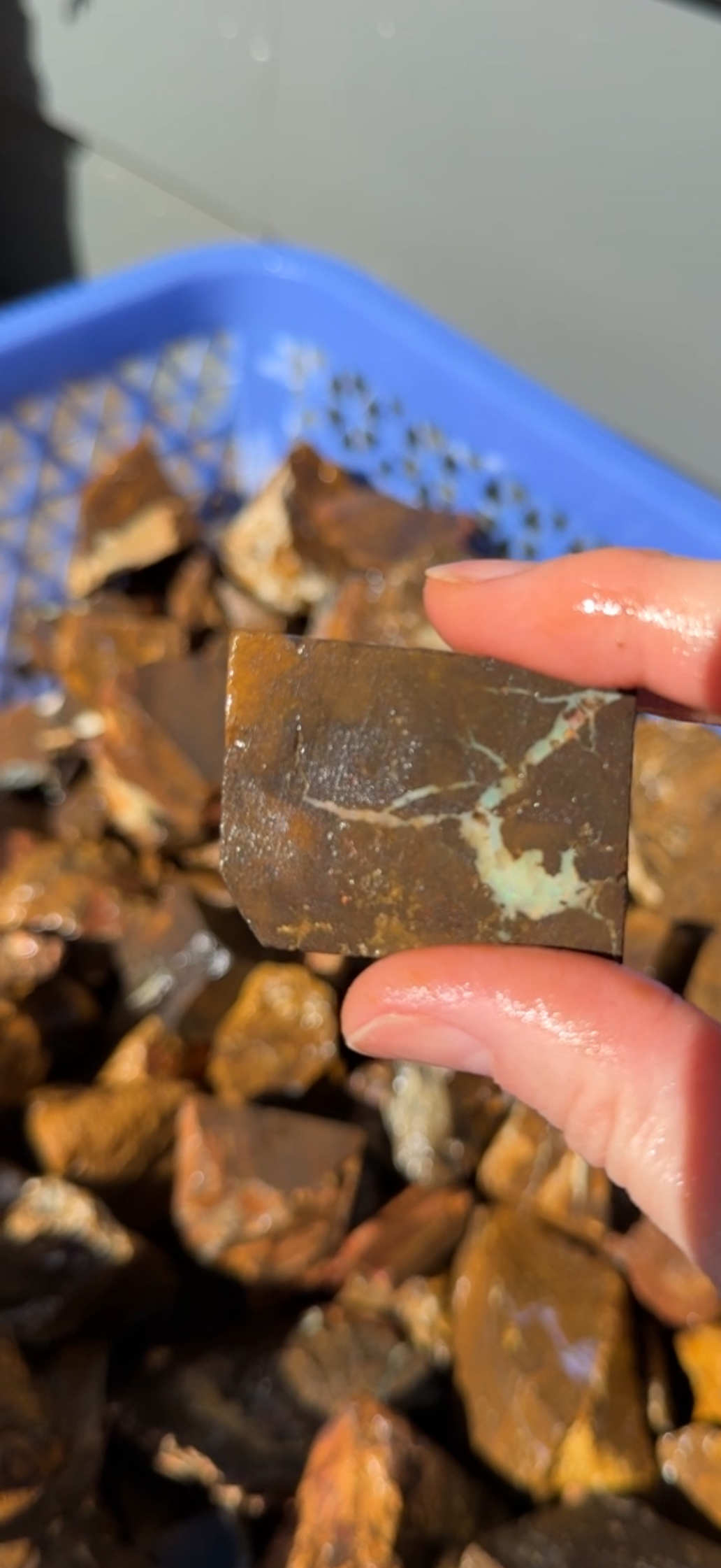 Rough boulder opal