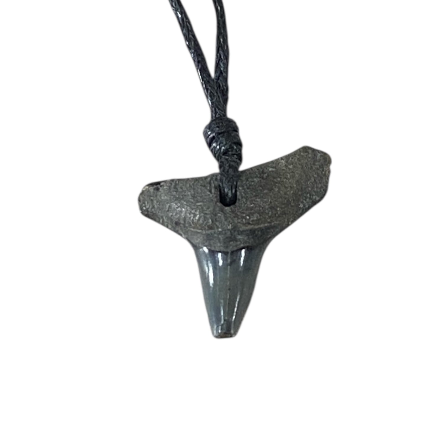 Megalodon fossil teeth necklace