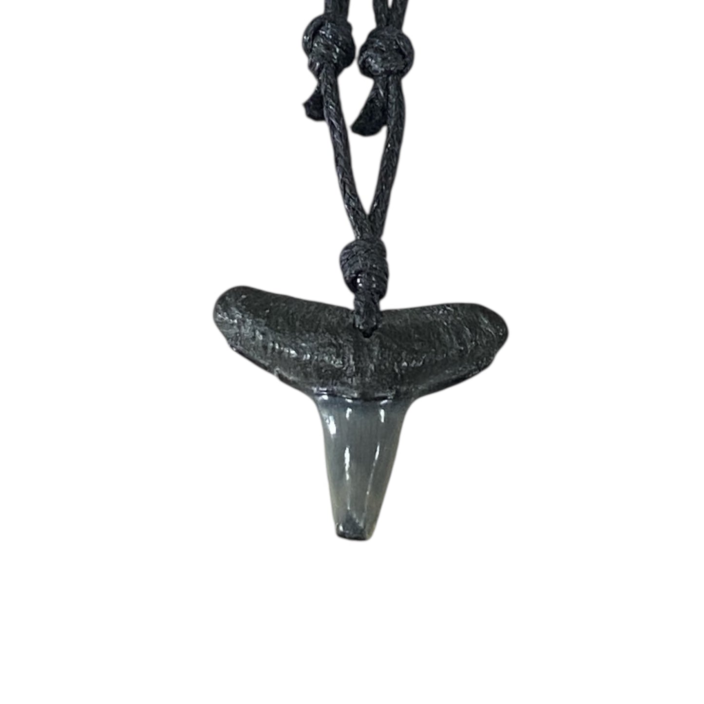 Megalodon fossil teeth necklace