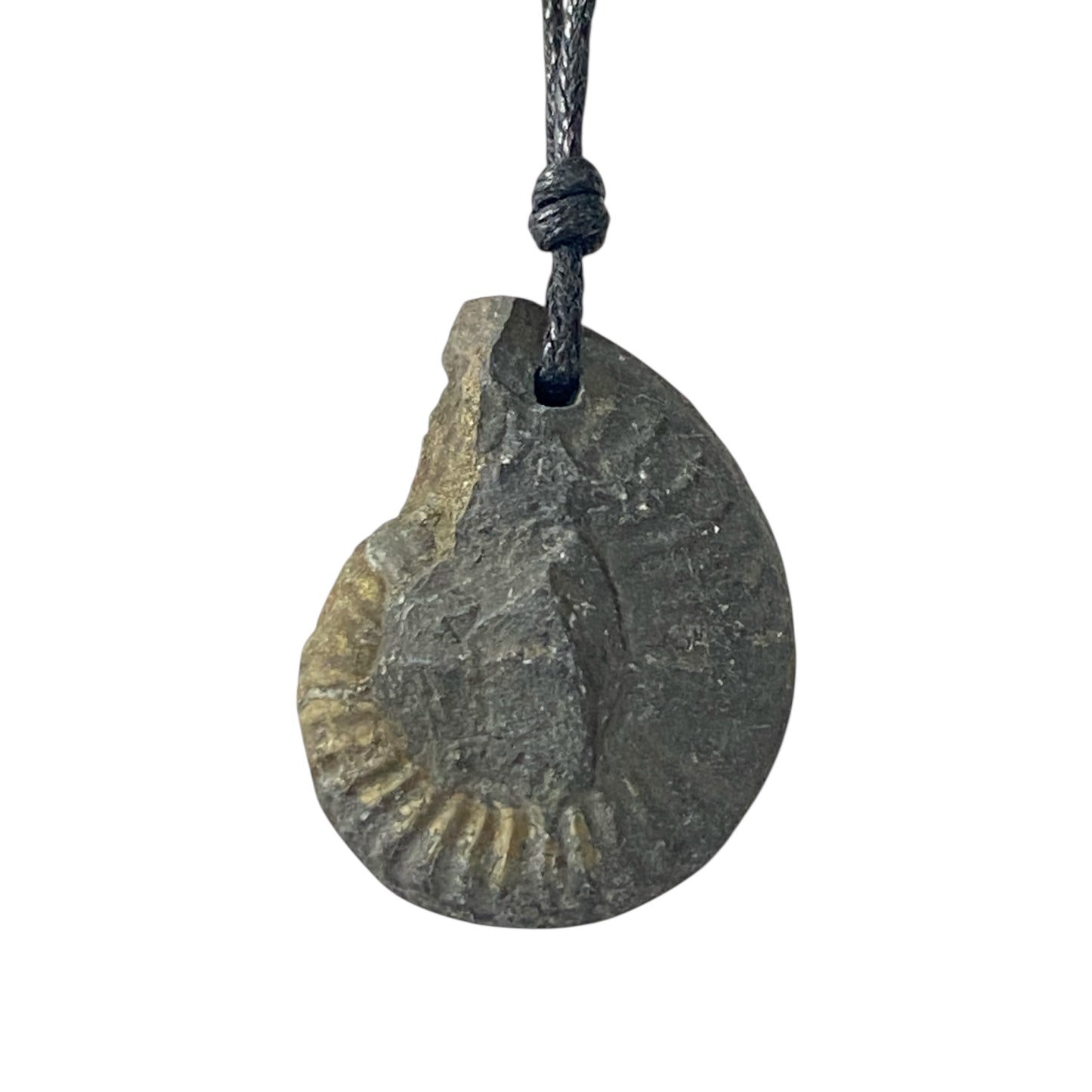 Ammonite fossil Necklace