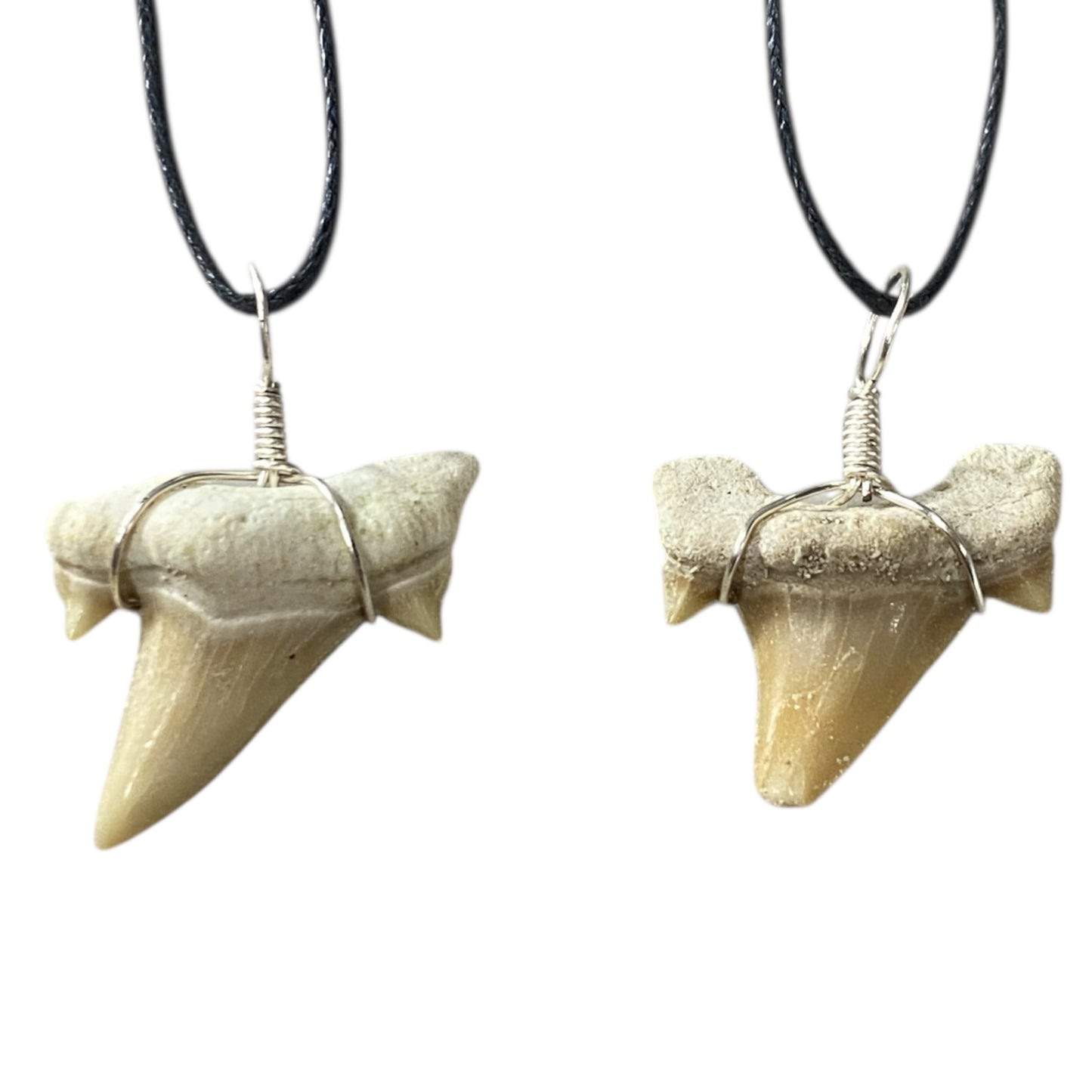 Shark tooth fossil neck