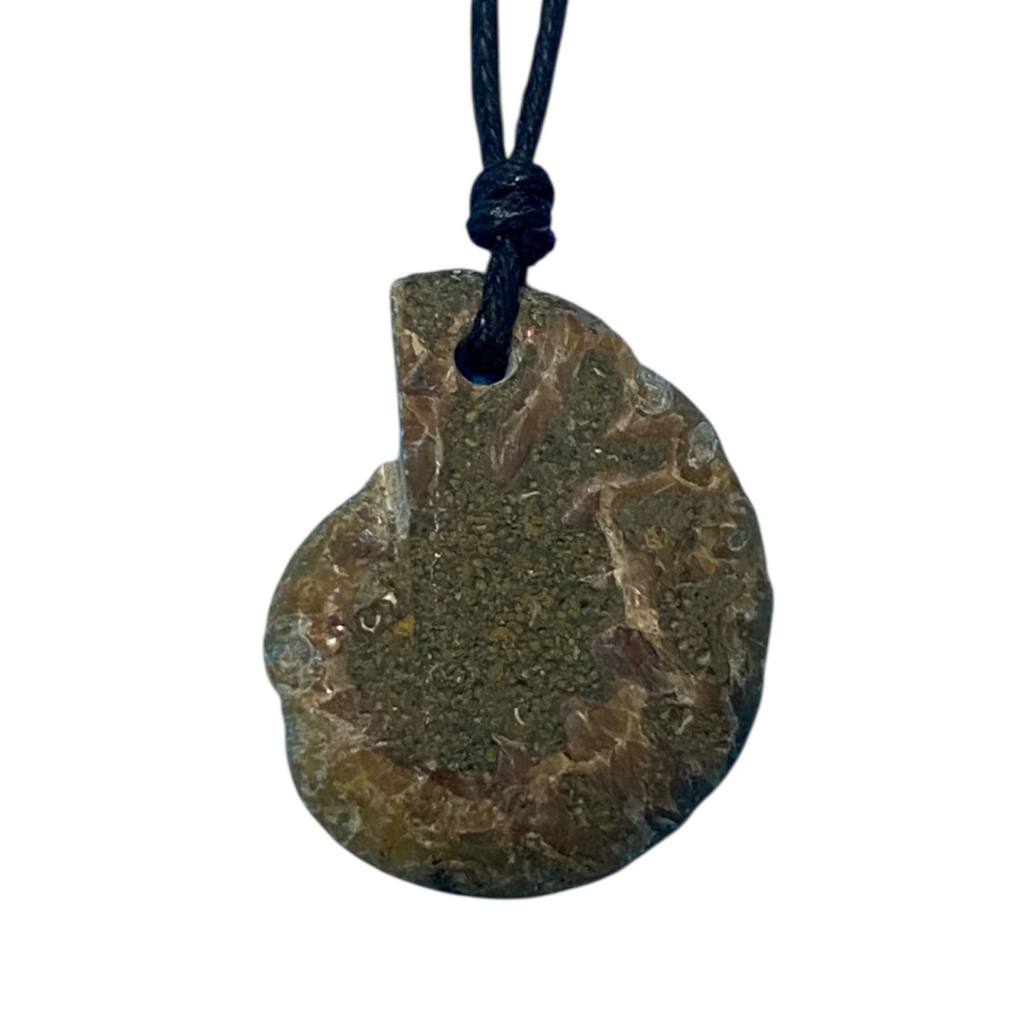 Ammonite fossil Necklace