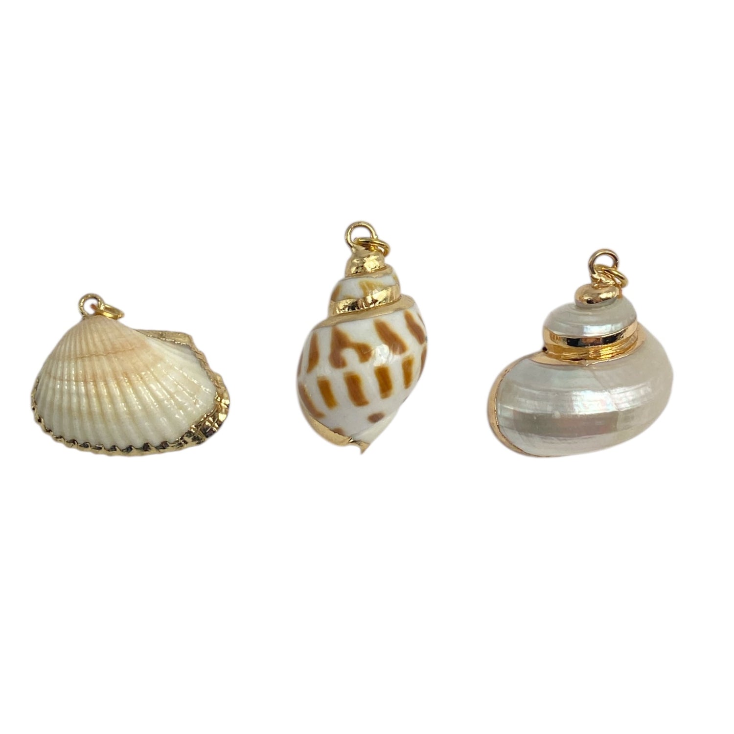 shell range