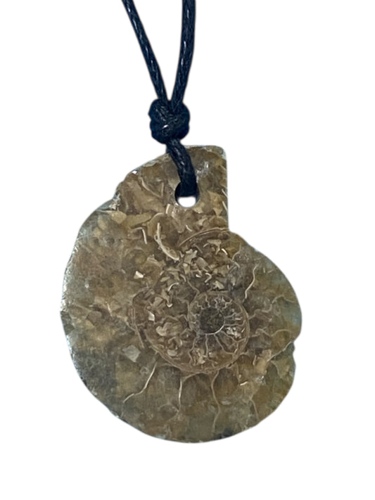 Ammonite fossil Necklace