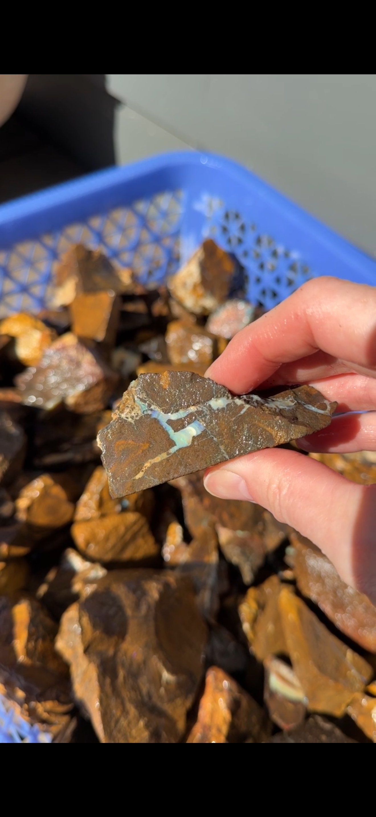 Rough boulder opal