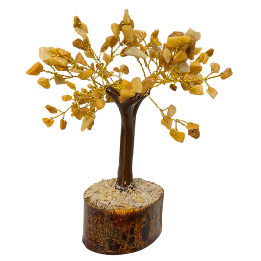 Yellow jasper tree wooden trunk and base