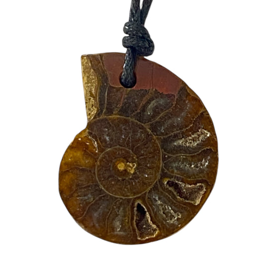 Ammonite fossil Necklace