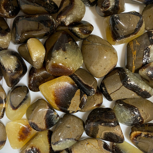 Tumbled Sepatarian Stone