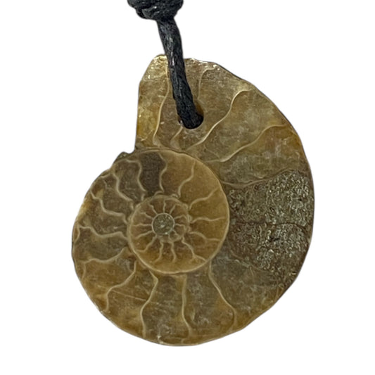 Ammonite fossil Necklace