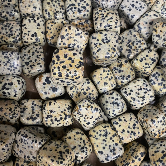Tumbled Dalmation jasper