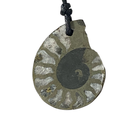 Ammonite fossil Necklace